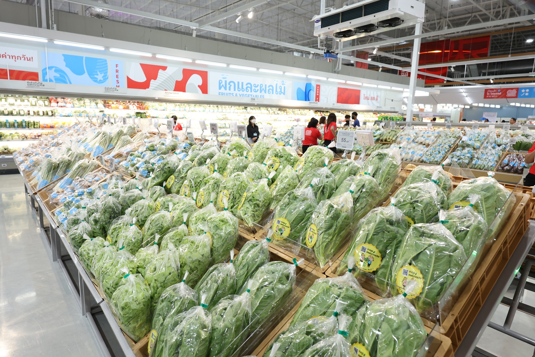 IMAGE - 22906